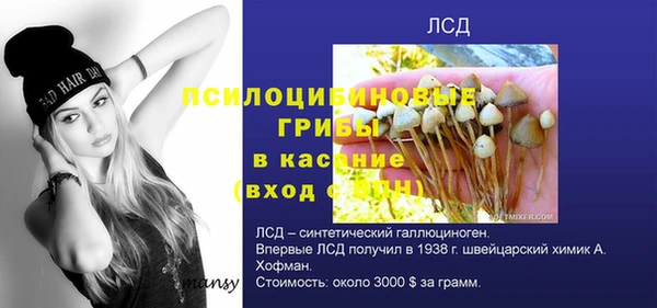 тгк Балабаново
